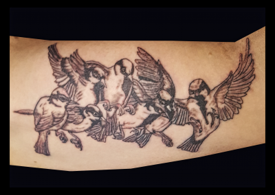 Tattoo-Vögel